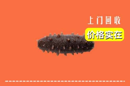 韶关市乳源回收海参